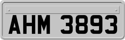 AHM3893