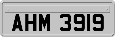 AHM3919