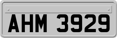 AHM3929