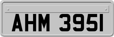 AHM3951