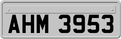 AHM3953
