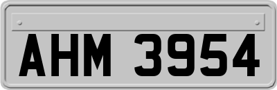 AHM3954