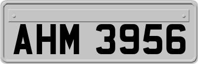 AHM3956