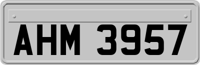 AHM3957