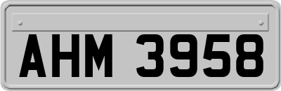 AHM3958