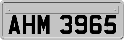 AHM3965