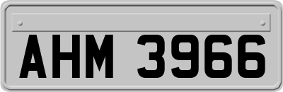 AHM3966