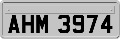 AHM3974