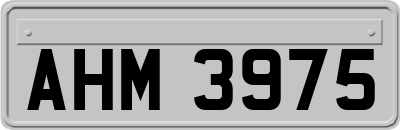 AHM3975