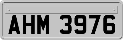 AHM3976