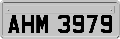 AHM3979