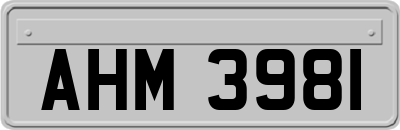 AHM3981