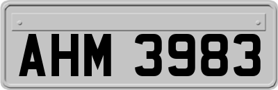 AHM3983