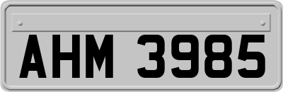 AHM3985