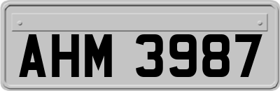 AHM3987
