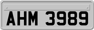 AHM3989