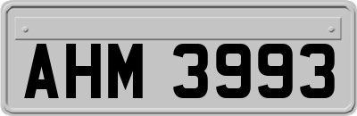 AHM3993
