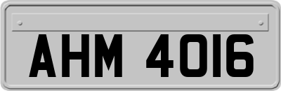 AHM4016