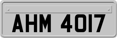 AHM4017