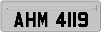 AHM4119