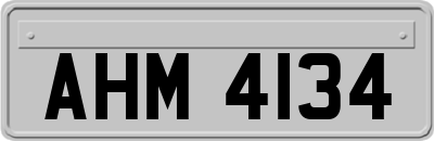 AHM4134