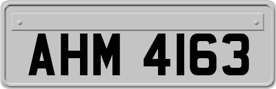 AHM4163