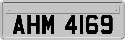 AHM4169