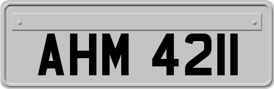 AHM4211