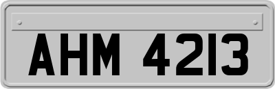 AHM4213