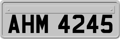 AHM4245