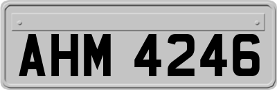 AHM4246