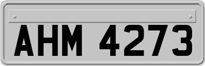 AHM4273