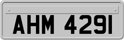 AHM4291
