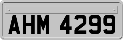 AHM4299