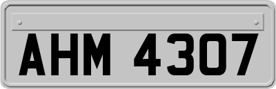 AHM4307