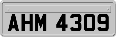 AHM4309