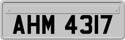 AHM4317