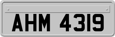 AHM4319