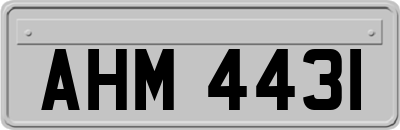 AHM4431