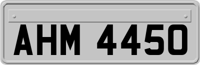 AHM4450