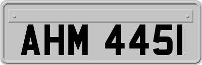 AHM4451