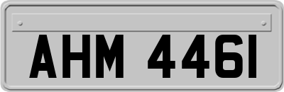 AHM4461