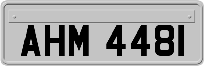 AHM4481