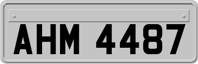 AHM4487