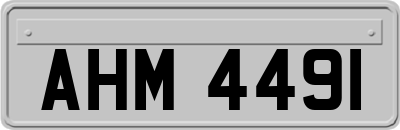 AHM4491