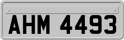 AHM4493