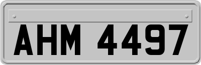 AHM4497