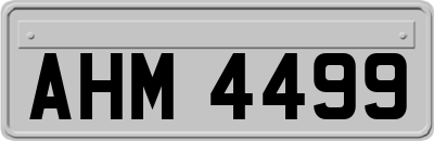 AHM4499
