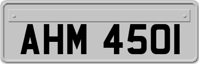 AHM4501