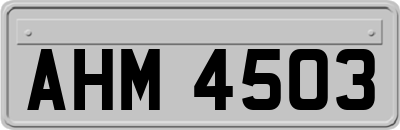 AHM4503
